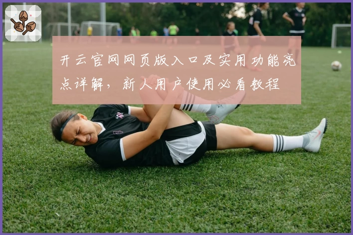 开云官网网页版入口及实用功能亮点详解，新人用户使用必看教程